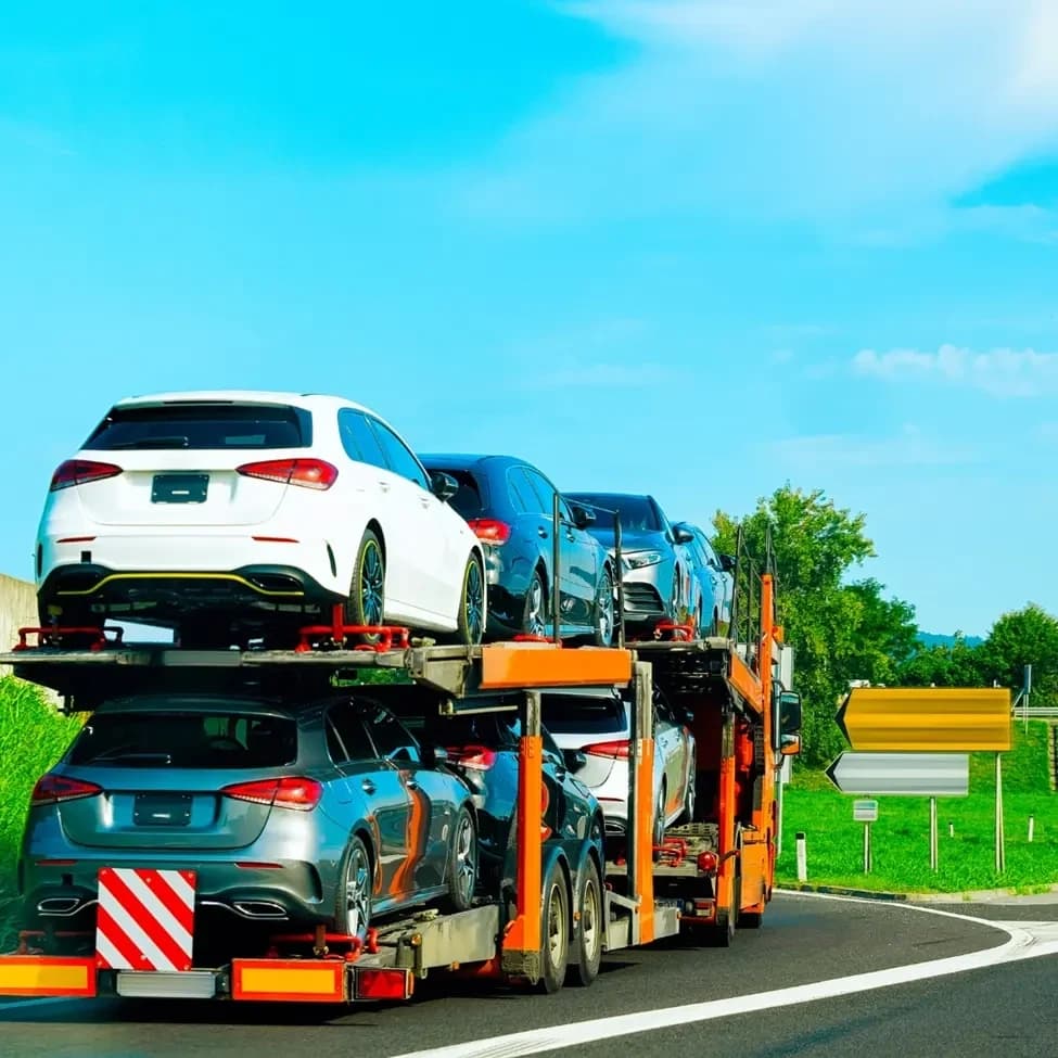 multi car shipping services