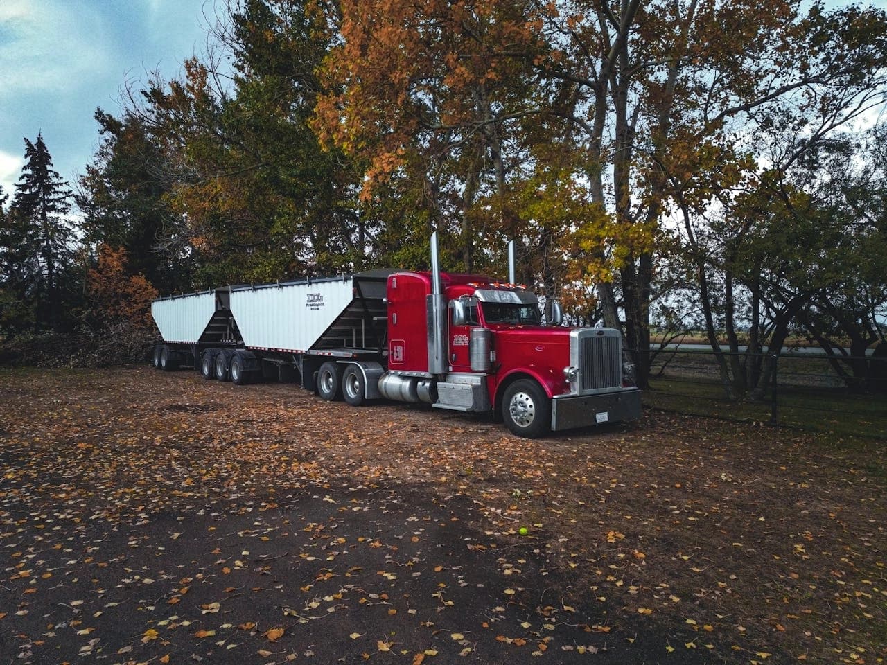 snowbird car shipping