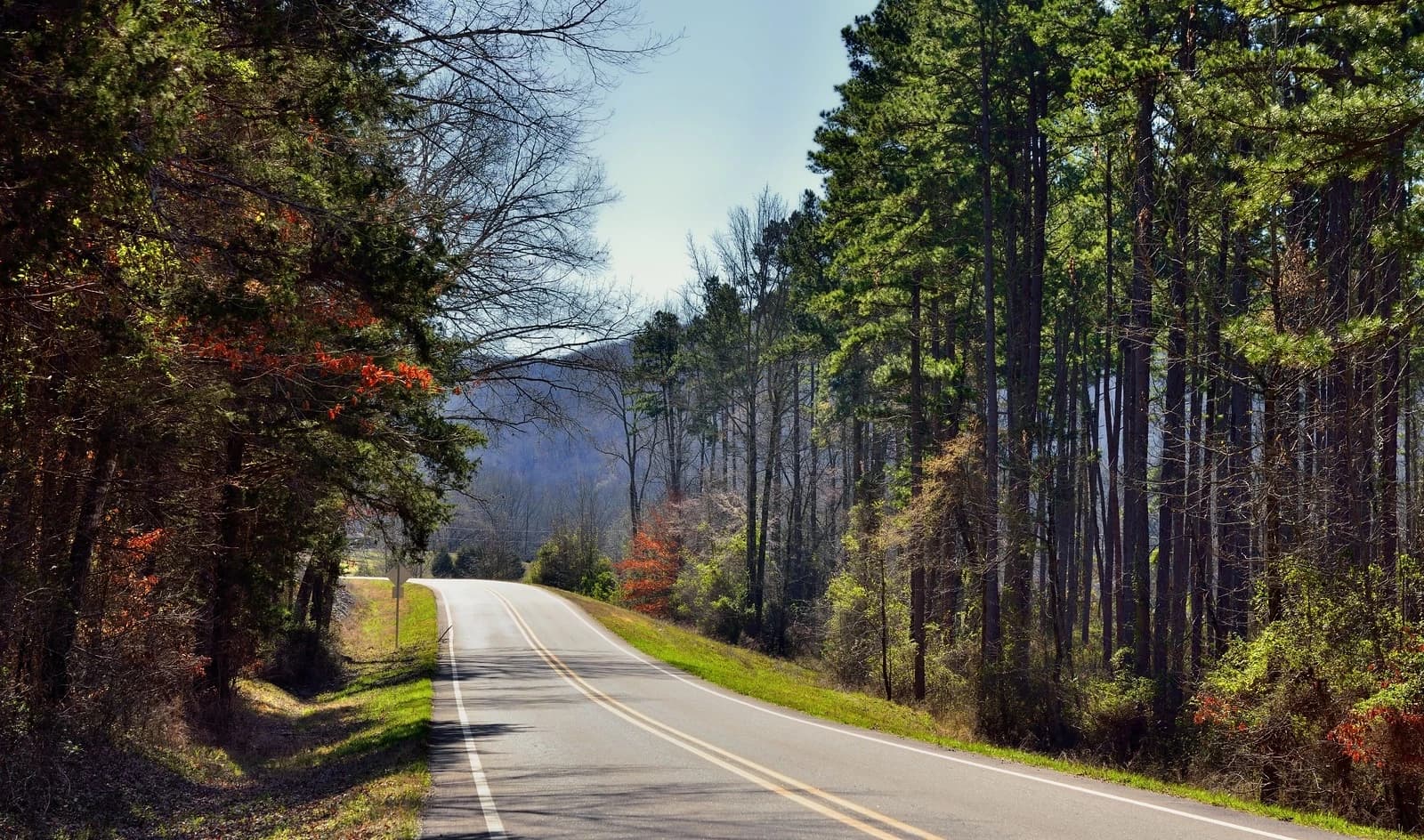 Arkansas car shipping services